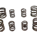 Sifton Valve Spring for Harley-Davidson