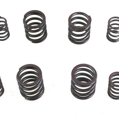 Valve Spring Set for Harley-Davidson