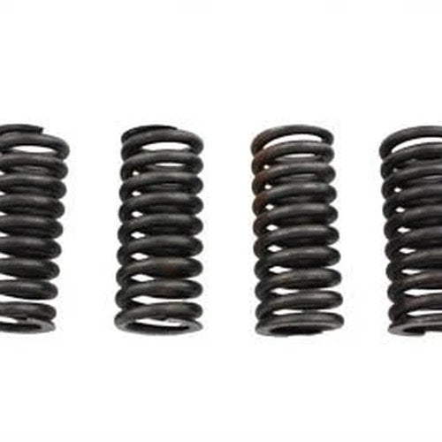 Valve Spring Set for Harley-Davidson