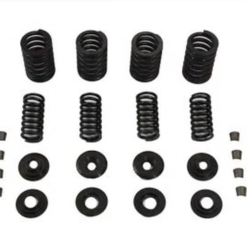 Sifton Valve Spring Kit for Harley-Davidson