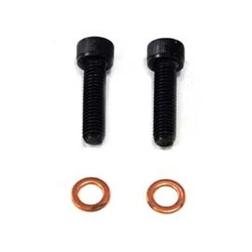 Fork Damper Tube Screw and Washer for Harley-Davidson