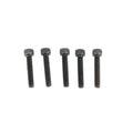 Allen Cap Screw Black 10-24 x 1 inch for Harley-Davidson