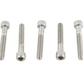 10-24 X 1-1/4 inch Allen Socket Cap Screw Stainless Steel for Harley-Davidson