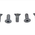 Chrome Allen Type Front Disc Screw for Harley-Davidson