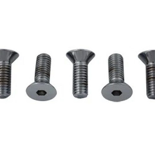 Disc Bolt Kit Chrome for Harley-Davidson