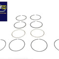 114 inch M8 Moly Piston Ring Set Standard for Harley-Davidson