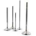 Ferrea Competition Intake Valves for Suzuki Gsx 1300R Hayabusa 99-00, Set of 8