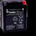 Yuasa YTX14AHL Agm PowerSports Battery - Maintenance Free, 12V