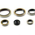 KTM XC 250, 2006-2016, Engine Crank/Crankshaft / Oil Seal Set - XC250