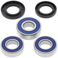 Rear Wheel Bearings and Seals for Suzuki DR350, 1990-1999 - DR 350