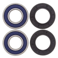 Kawasaki Z750S, 2005-2006, Front Wheel Bearings and Seals - ZR750