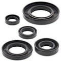 Honda XR650L, 1993-2015, Engine Crank/Crankshaft / Oil Seal Set - XR 650L