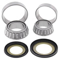 Headstock Steering Stem Tapered Bearing Kit For Kawasaki Klx 250 S Taf 2010