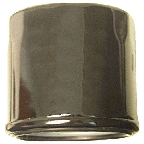 Oil Filter for 2004 Triumph Daytona 955i (EFI) (SSSA)