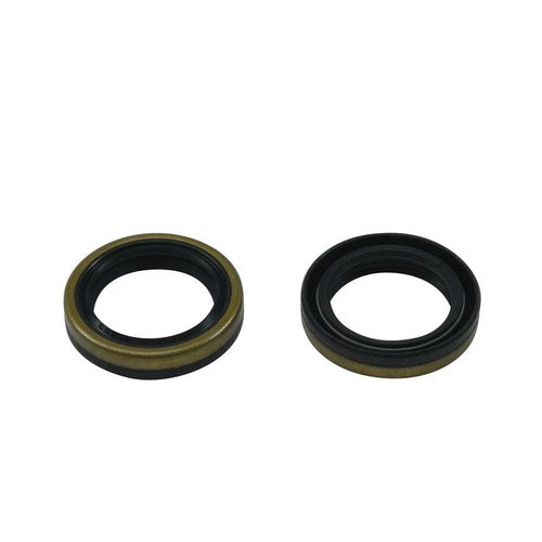 Crank Bearing & Seal Kit For Beta Evo 2T 300 2012-2021