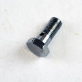 Banjo Bolt M8 x 1.00 Chrome, Venhill 108100C