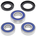 Wheel Bearing Kit Rear For Suzuki DR650SE 2006 - 2016