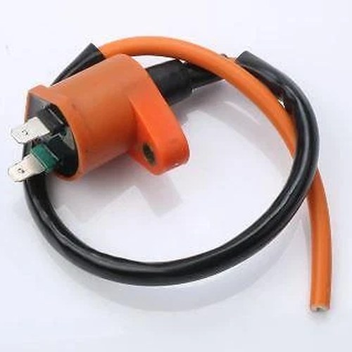 Universal Ignition Coil Single Mount, Twin Wire Single Lead