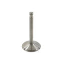 Stainless Steel Intake Valve for Harley-Davidson