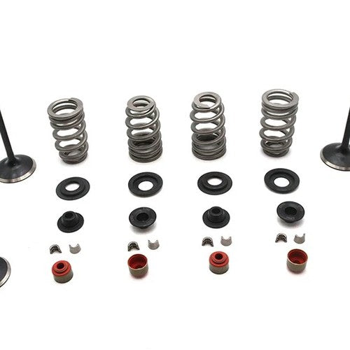 Kibblewhite Valve and Spring Kit for Harley-Davidson