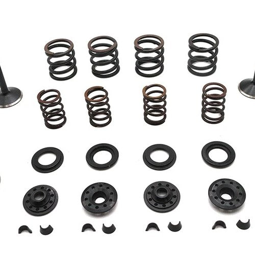 Kibblewhite Valve and Spring Kit for Harley-Davidson