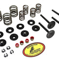 Kibblewhite Valve and Spring Kit for Harley-Davidson