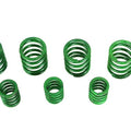 Replica Valve Spring Set for Harley-Davidson