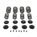 Valve Spring Kit for Harley-Davidson