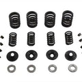 Sifton Valve Spring Kit for Harley-Davidson