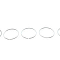 Piston Ring for Rear Brake Caliper for Harley-Davidson