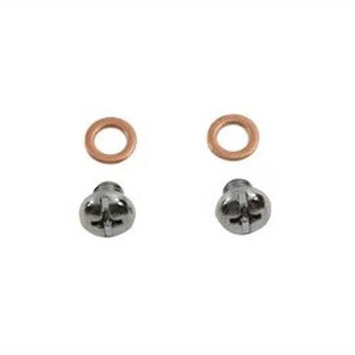 Fork Drain Screws for Harley-Davidson