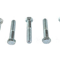 Hex Cap Bolts Zinc 3/8 inch x 2 inch for Harley-Davidson