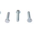 Hex Cap Bolts Zinc 5/16 inch X 1-1/4 inch for Harley-Davidson