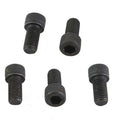 5/16 inch-24 x 5/8 inch Allen Socket Cap Screw Black for Harley-Davidson