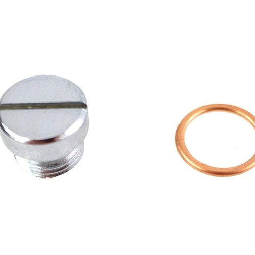 Oil Pump Screen Plug Chrome for Harley-Davidson