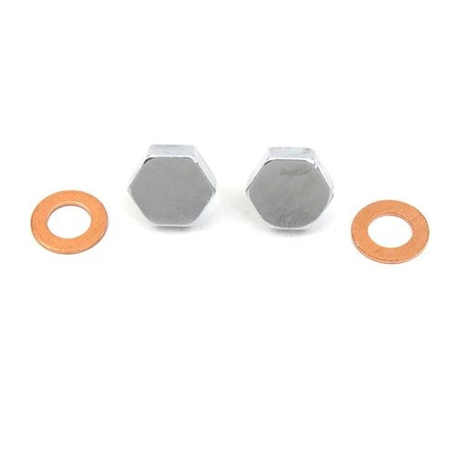 Chrome Fork Slider Drain Screws for Harley-Davidson
