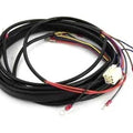 Main Wiring Harness for Harley-Davidson
