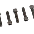 Allen Cap Screw Black 1/4 inch-20 x 3/4 inch for Harley-Davidson