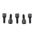 Replica Brake Drum Lug Screw Set Parkerized for Harley-Davidson