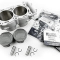 Cylinder Kit Polaris Rzr 900 XP 11-14, Rzr 4 900 12-14, Std Bore