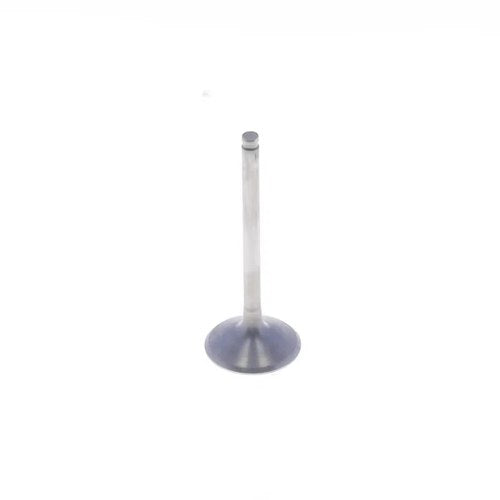 Athena Titanium Exhaust Valve Fantic Xef 450 2022-2023