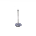Athena Titanium Exhaust Valve Fantic Xef 450 2022-2023