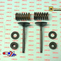 Psychic Inlet Valve+SPRING Kit Yamaha YZ450F 2010-2013