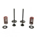 Psychic Exhaust Valve+SPRING Kit Kawasaki KX450F 2009-2018