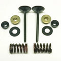 Psychic Exhaust Valve+SPRING Kit Kawasaki KX450F 06-08, KFX450R 08-14