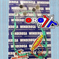 Winderosa Water Pump Gasket Kit Kawasaki KX250 1999-2004, With Bearing
