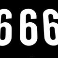 6/9 Thick White Decal 8" x3