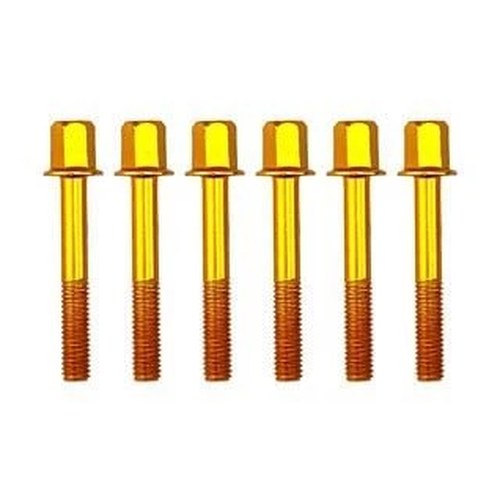 M6x40 Anodized Gold Alloy Bolt