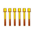 M6x40 Anodized Gold Alloy Bolt