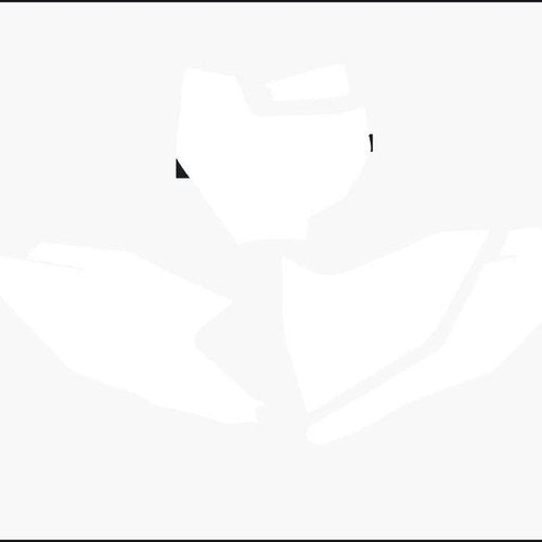 White Backgrounds KTM SX85 2018-2023